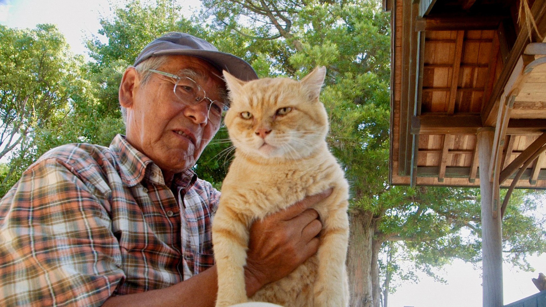 《五香宫的猫》由想田和弘执导，入围柏林电影节